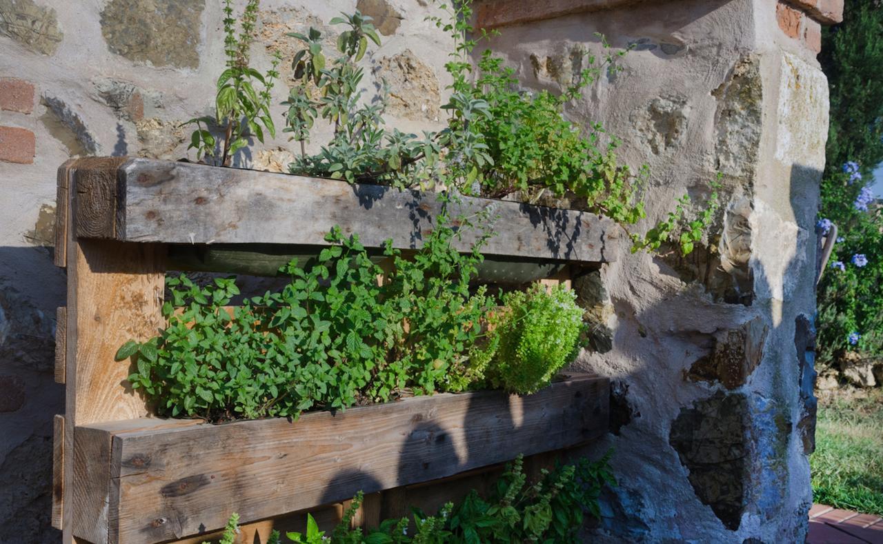 Dojo Bianco Bed & Breakfast Massa Marittima Dış mekan fotoğraf